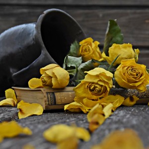 Sárga rózsás – kópia